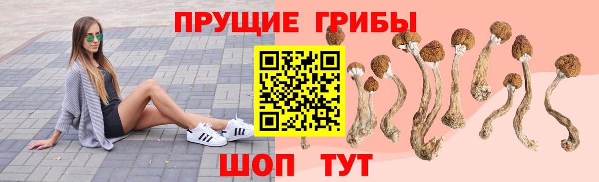 Псилоцибиновые грибы мухоморы Златоуст